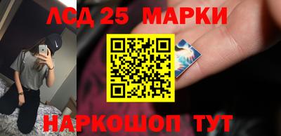 гашик Камышлов