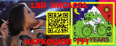 гашик Камышлов