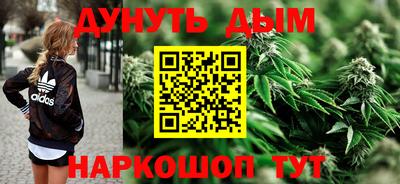 гашик Камышлов