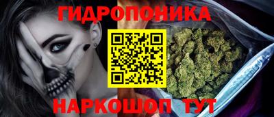 гашик Камышлов