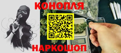 гашик Камышлов