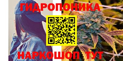 гашик Камышлов