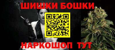 гашик Камышлов