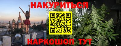 гашик Камышлов