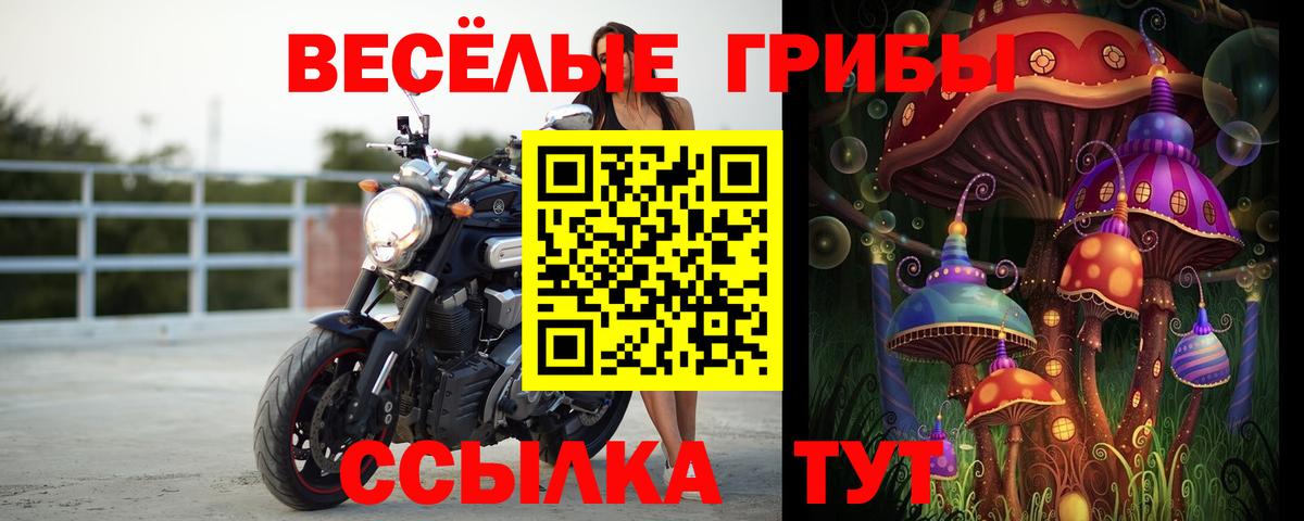 Краснознаменск  цены наркотик  Вход с VPN  Галлюциногенные грибы Magic Shrooms 